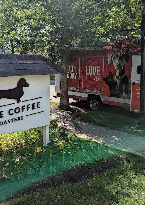 Indie Coffee Roasters + Indy Humane: Recap on Our Community Fundraiser